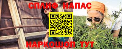прущие грибы Кингисепп