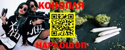 прущие грибы Кингисепп