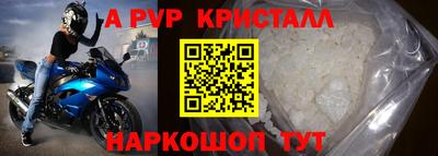 прущие грибы Кингисепп